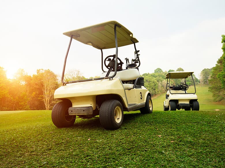 Golf Cart Accessibility